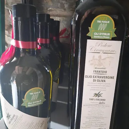 Alloggio per agriturismo Circugnano *