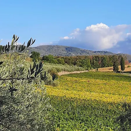 Farm stay Circugnano Grassina