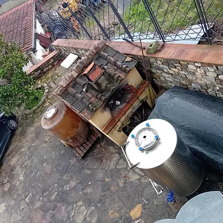 Circugnano *