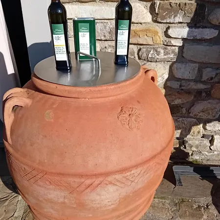 Farm stay Circugnano