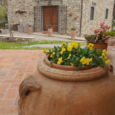 Farm stay Circugnano *