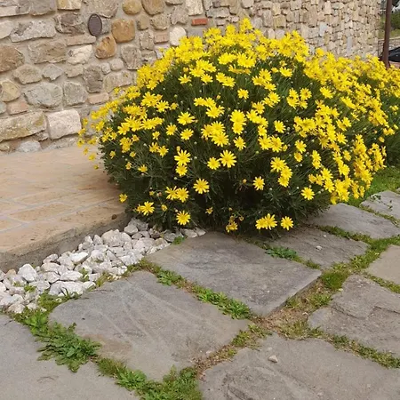 Circugnano Grassina