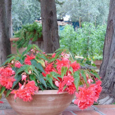 Agriturismo Circugnano