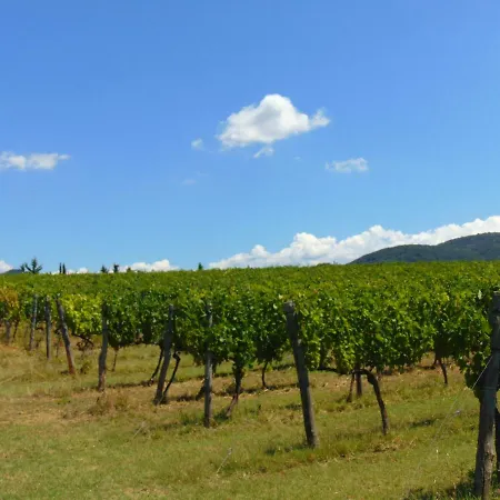 Circugnano