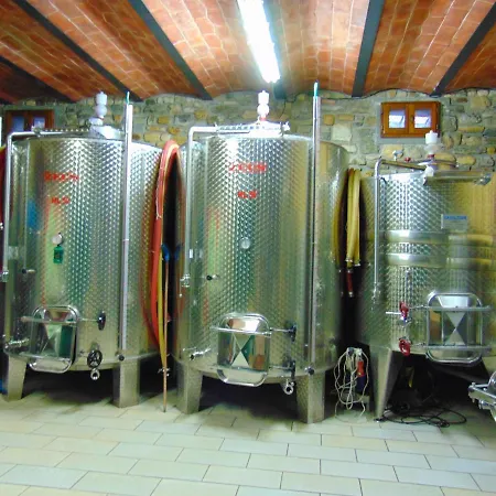Circugnano Farm stay *